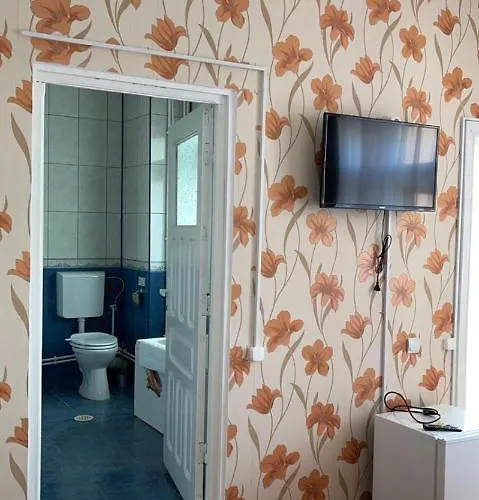 Dany Maison d'hôtes Eforie Nord